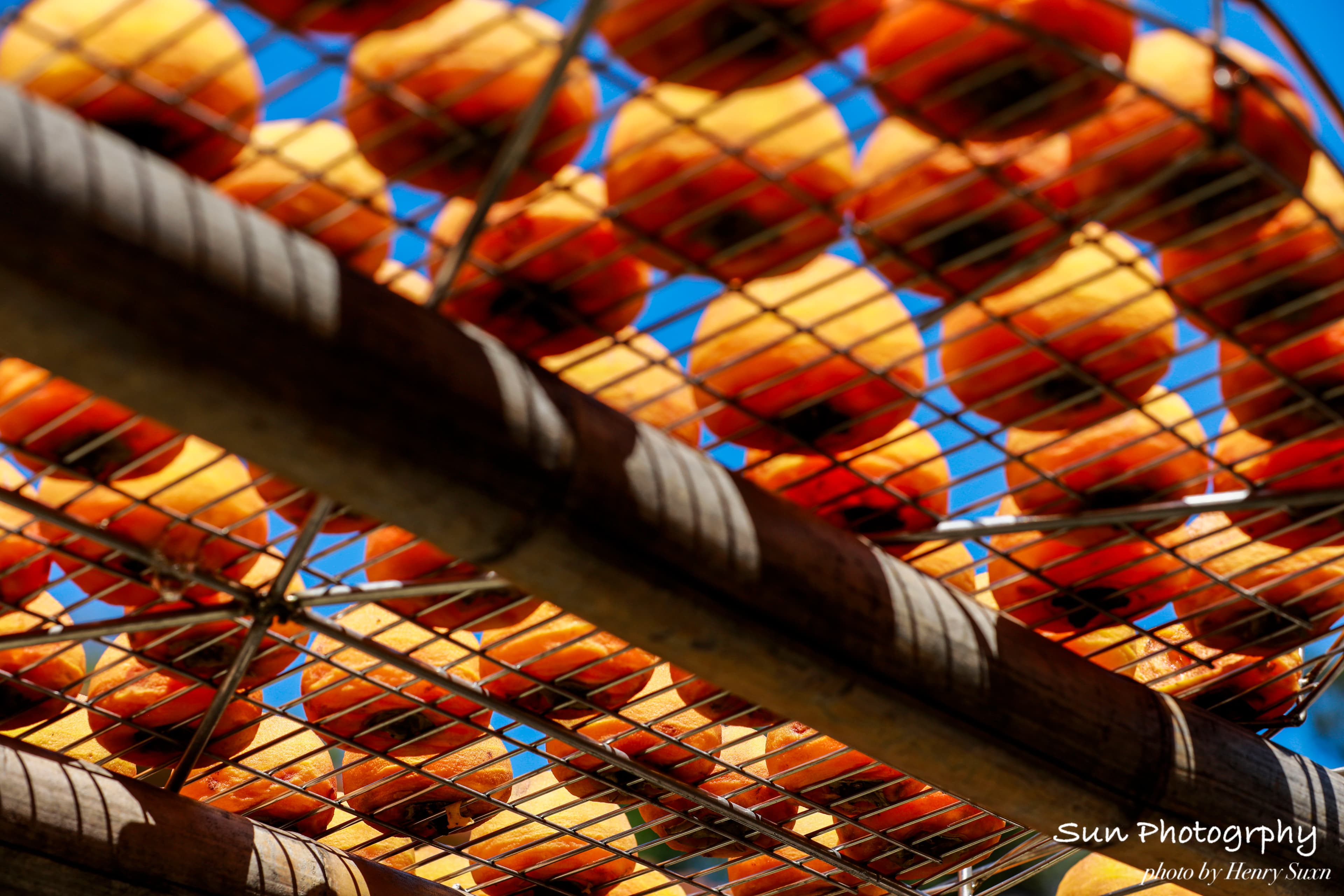 Flavors of Autumn: Dried Persimmons & Historic Tea